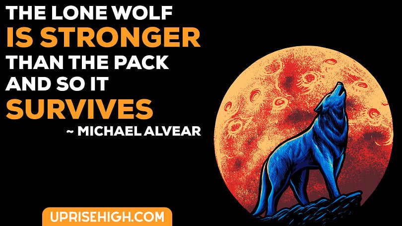 The lone wolf is stronger than the pack, and so it survives. 