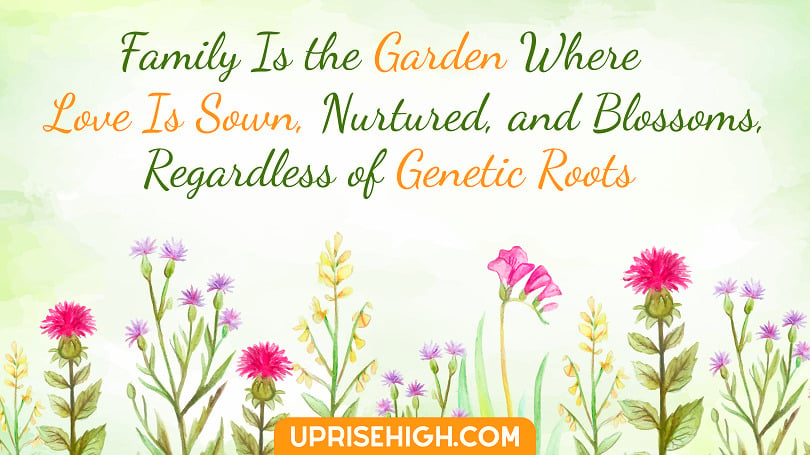 Family is the garden where love is sown, nurtured, and blossoms, regardless of genetic roots.