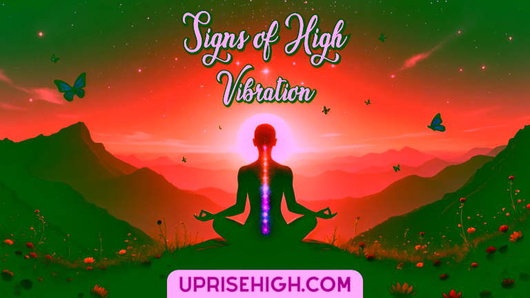 A silhouetted person meditating on a mountain at sunset with colorful chakra energy flowing through their spine, surrounded by butterflies and wildflowers, with "Signs of High Vibration" text