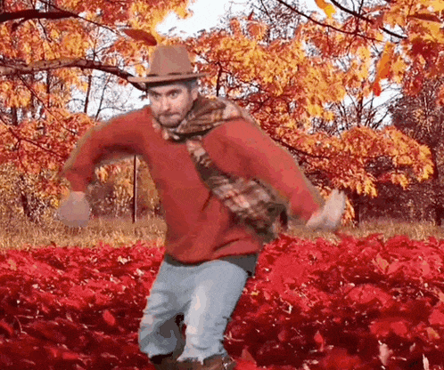 Finally! 18 Fall Activities That Don't Suck for Adults 1 funny fall dance gif